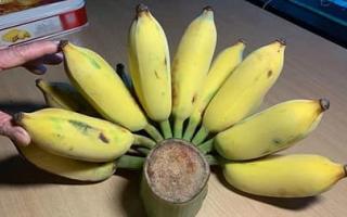 Loại quả tuyệt đối không được đặt lên bàn thờ vào dịp rằm tháng 7, tránh rước 'cô hồn' đến thăm nhà