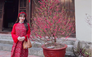 Hòa Minzy kêu gọi ủng hộ Hải Dương vượt qua dịch bệnh Covid