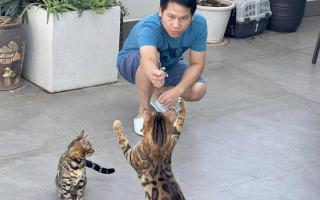 Những chú mèo đắt đỏ, đáng yêu được sao Việt cưng chiều