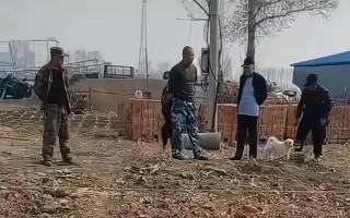 Nghe tin em út ly hôn, 3 anh trai nghỉ làm về quê, xây nhà mới chào đón