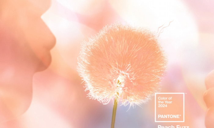 Màu của năm 2024: Peach Fuzz